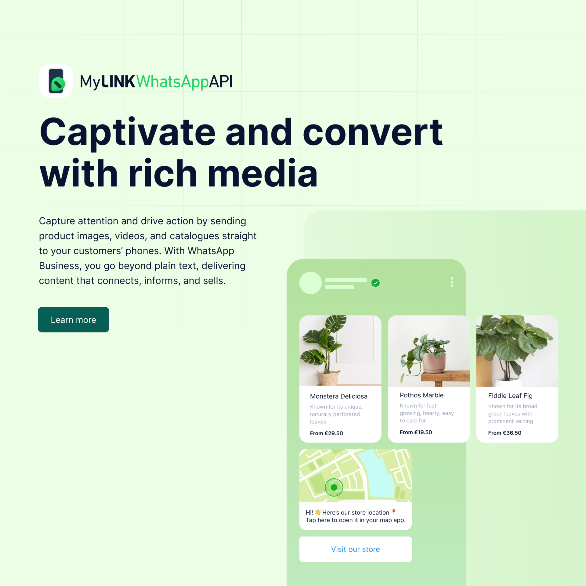 Captivate and convert with rich media